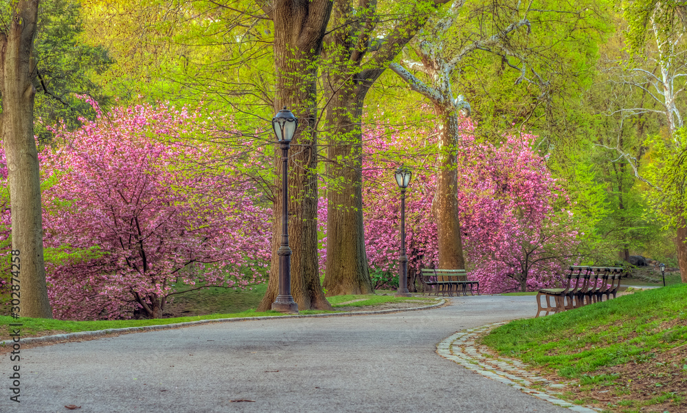 Naklejka premium Central Park in spring