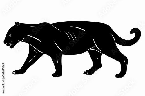 illustration of panther   vector draw