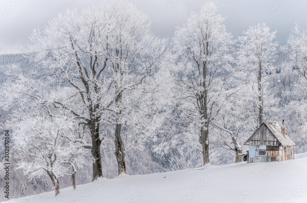 Fototapeta premium Small shepherd house on the winter time