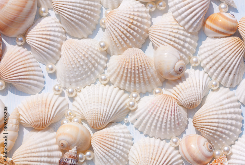 Seashells and pearls on light blue background.