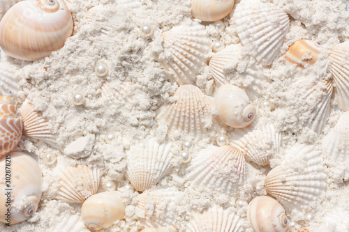 seashells and pearls on sand