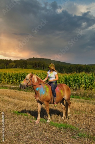 farbenspiel mit dem pferd