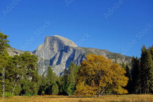 Half Dome mit Herbstwald im Yosemite National Park in Kalifornien