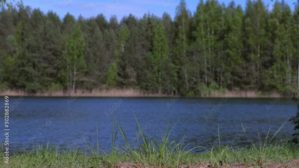Green forest and river at summer day, view from riverbank. Blur nature beautiful background. Sunny weather. Scenery landscape of forest tundra and river bank. Green forest and river at summer day, view from riverbank. Blur nature beautiful background. Sunny weather. Scenery landscape of forest tundra and river bank.