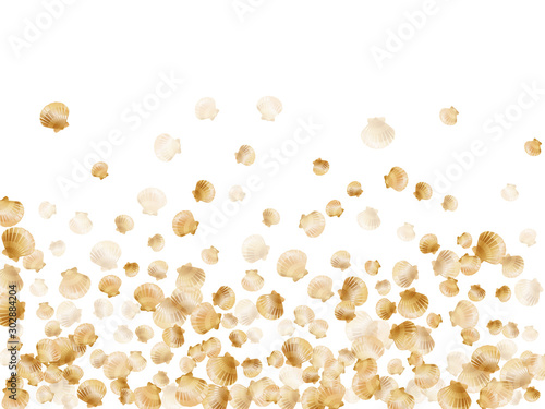 Underwater scallop, bivalve pearl shells