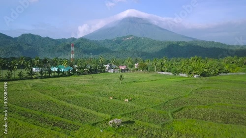 Mountain and Mayon Volcano at a Distant as Seen from the Greenery Landscape photo