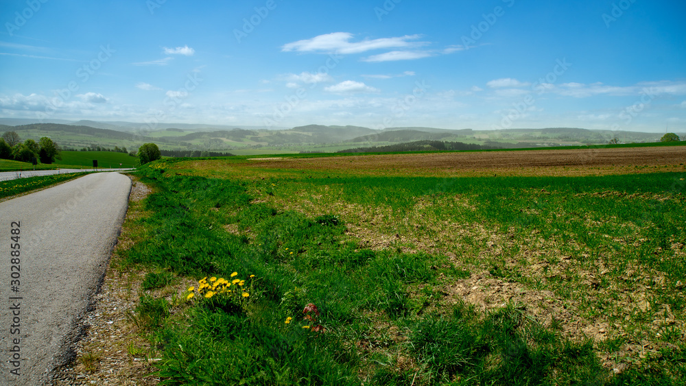 Obraz premium Frühling mit Pollenflug