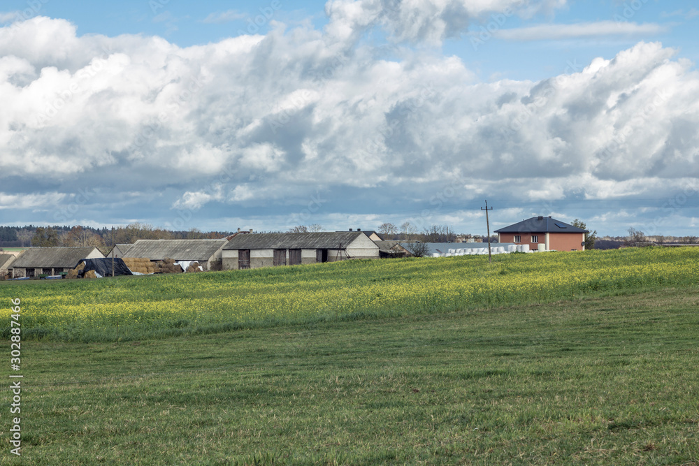 A village among fields and pastures. Houses, barns and pyramids of bales. Yellow mustard field and meadow in the foreground. Podlasie, Poland. A village among fields and pastures. Houses, barns and pyramids of bales. Yellow mustard field and meadow in the foreground. Podlasie, Poland.
