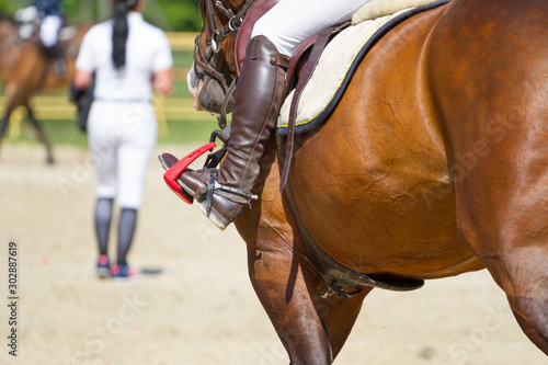 dressage horse and rider © Farmer