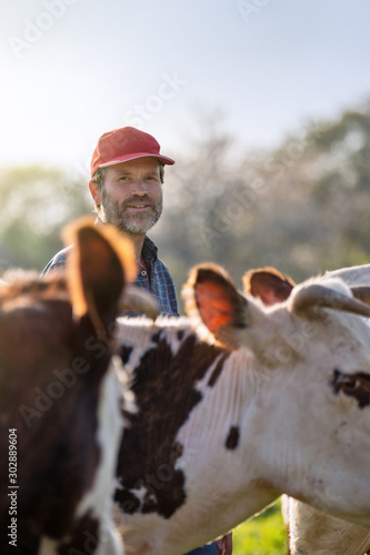 Картината върху платно Farmer in his field caring for his herd of cows