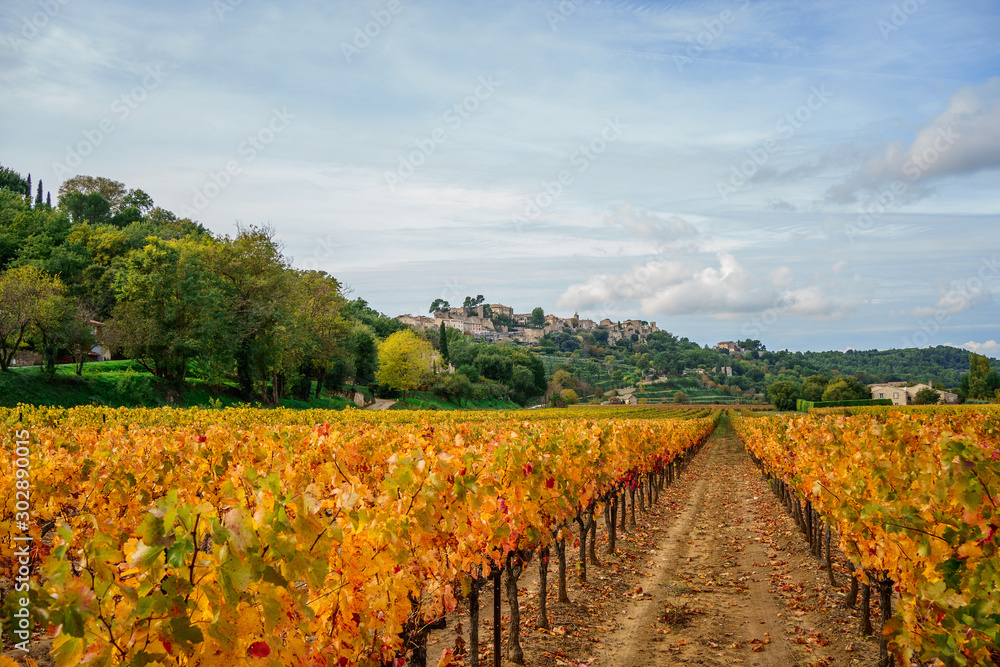Vue panoramique sur le village Menerbes, en automne, Provence, France. Au premier plan les vignobles, colorés en jaune, rouge, orange. 