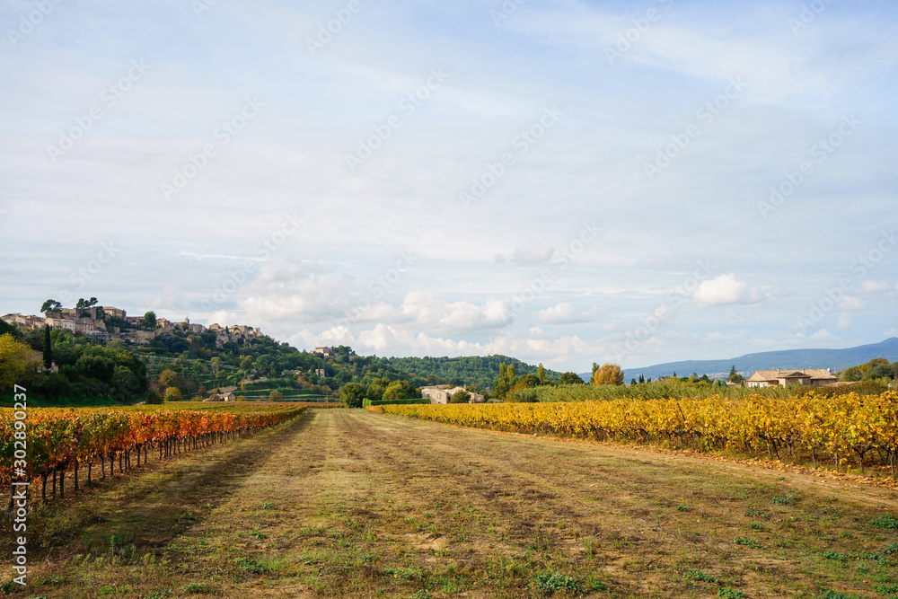 Vue panoramique sur le village Menerbes, en automne, Provence, France. Au premier plan les vignobles, colorés en jaune, rouge, orange.