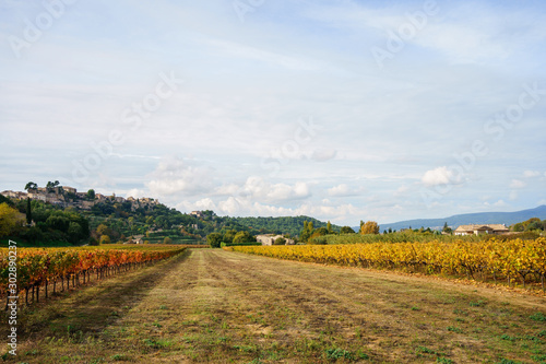 Obraz na płótnie Vue panoramique sur le village Menerbes, en automne, Provence, France. Au premier plan les vignobles, colorés en jaune, rouge, orange. w salonie