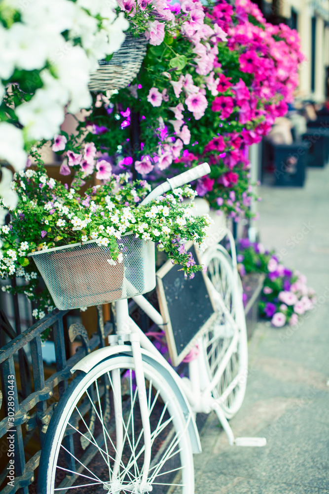 flower in basket of vintage bicycle on vintage wooden house wall, summer concept