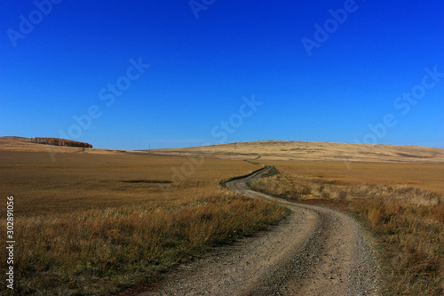 Country road in autumn field