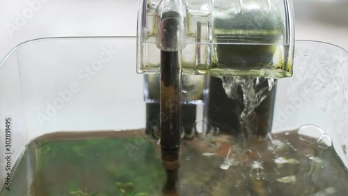 Fish tank water flow running pump with green moss and stain grunge