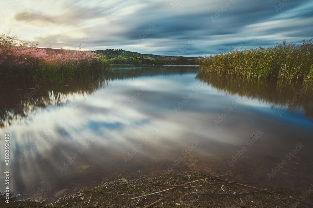 Fototapeta premium magical sunset in the swamp