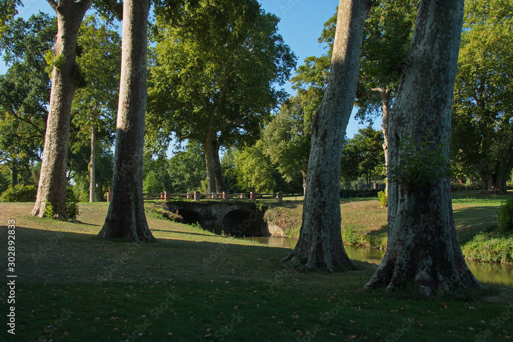 Obraz premium Park of castle Brissac of the Loire valley in France,Europe