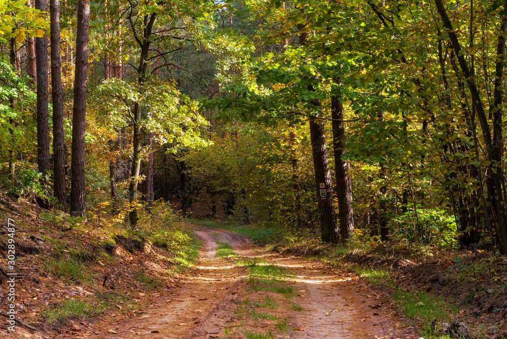 Park Krajobrazowy Puszczy Knyszyńskiej, Polska złota jesień, Supraśl ,Podlasie, Polska Park Krajobrazowy Puszczy Knyszyńskiej, Polska złota jesień, Supraśl ,Podlasie, Polska