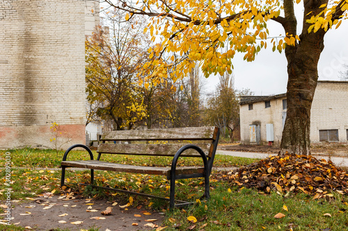 A bench in the yard under a tree with yellow leaves in late autumn