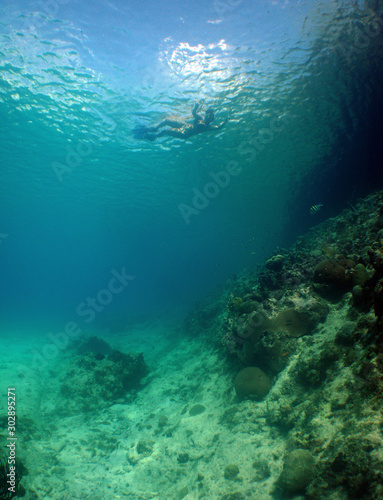 scuba diver  caribbean sea venezuela © gustavo