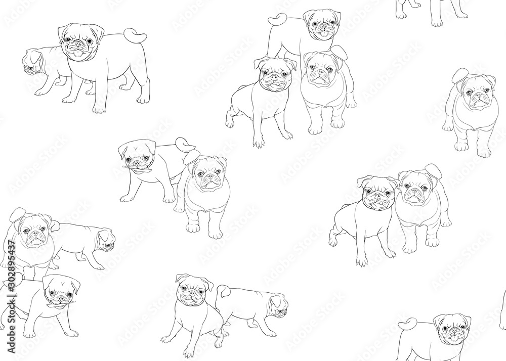 Seamless pattern, background with pug dogs. Colored vector illustration. Isolated on white background.