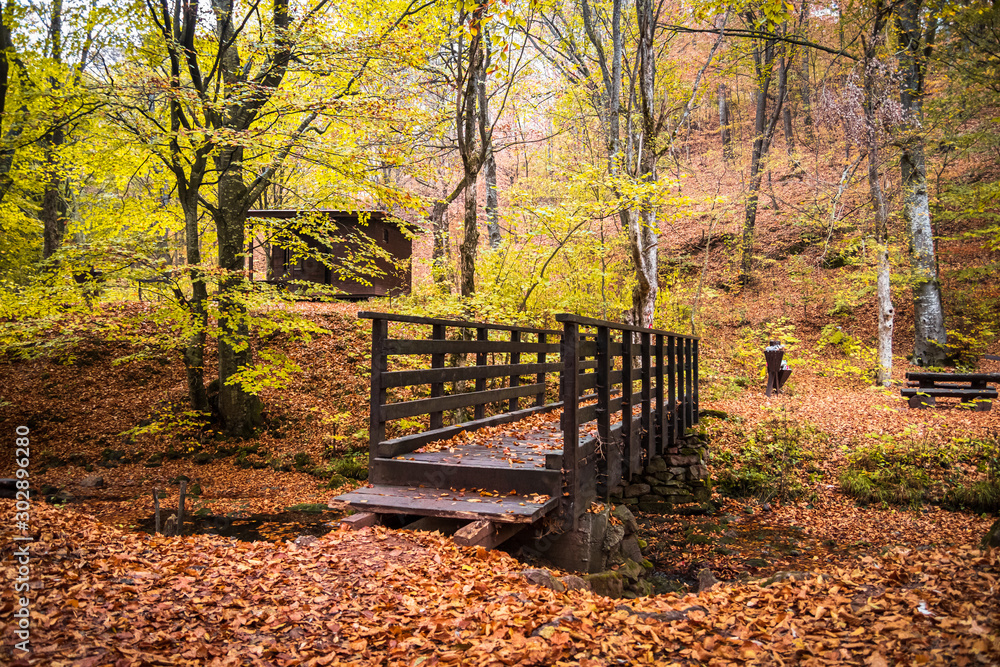 Small wooden bridge on river Grza in Serbia at autumn