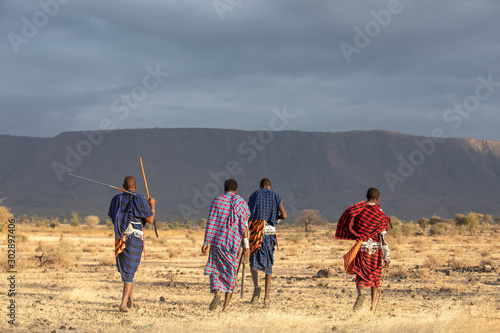 maasai warriors in a savannah photo