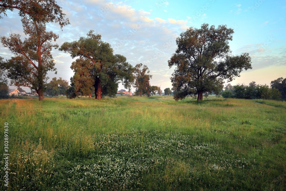 Obraz premium sunset on the river