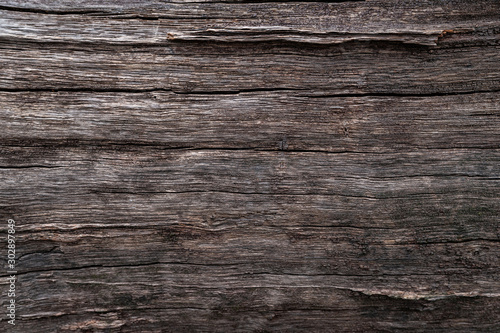Wet wood background. Texture of the old wet nerve.