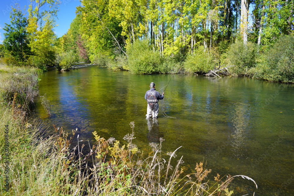 fly fisherman in autumn and fast river fly fisherman in autumn and fast river