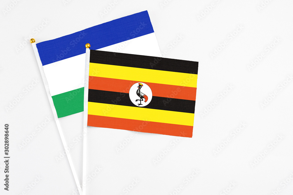 Fototapeta premium Uganda and Lesotho stick flags on white background. High quality fabric, miniature national flag. Peaceful global concept.White floor for copy space.
