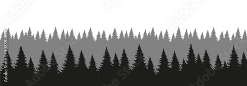 Coniferous forest silhouette. Forest background in aerial perspective. The design element of the park, forest, landscape. Flat vector illustration isolated on white background.