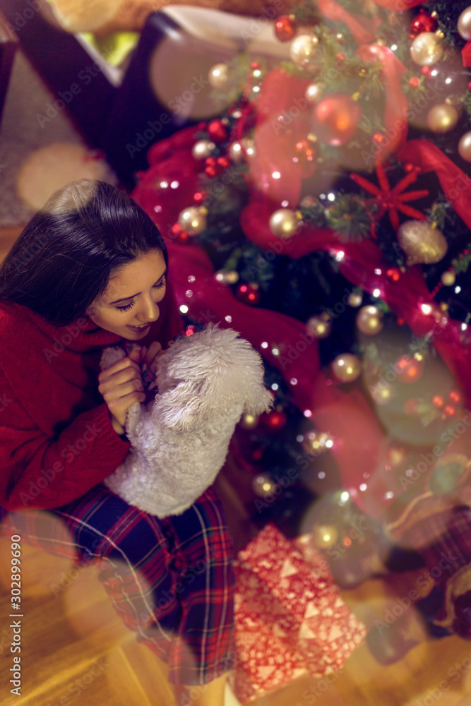 . girl are playing with dog, Christmas holiday.Christmas gifts . girl are playing with dog, Christmas holiday.Christmas gifts