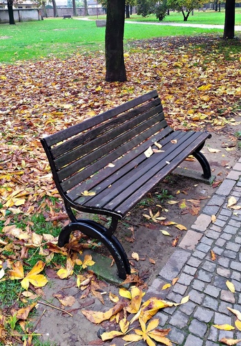 Italy: Bench in the foliage. photo