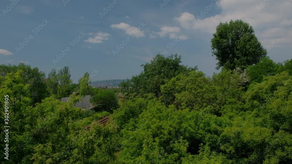 Tren cruzando el parque. Budapest, Hungría, Europa. Tren cruzando el parque. Budapest, Hungría, Europa.
