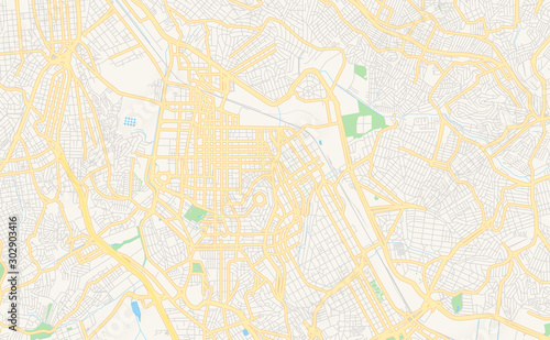 Printable street map of Sao Caetano do Sul, Brazil photo