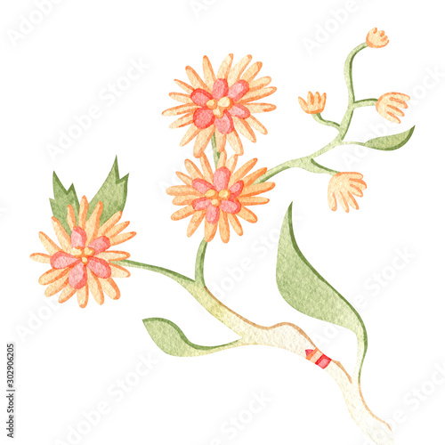 Beautiful watercolor paradise brunch with flowers. Fairytale folk hand painted illustration. Isolated on white.