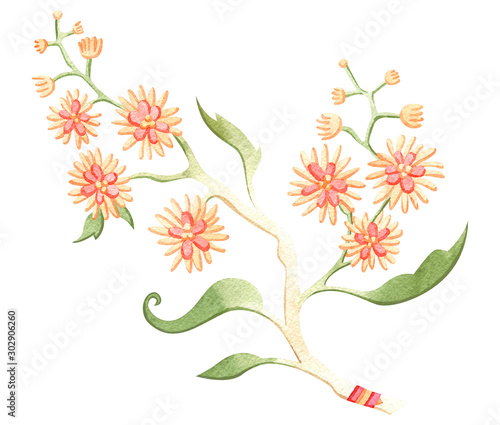 Beautiful watercolor paradise brunch with flowers. Fairytale folk hand painted illustration. Isolated on white.