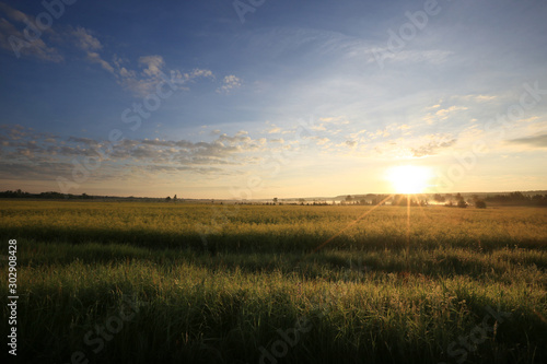 sunrise in summer field