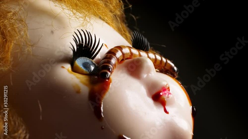 Close up of old dirty creepy doll with mealworms.