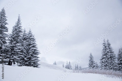 Beautiful winter mountain landscape. Winter landscape with fresh snow in a mountain forest/ © Ivanna Pavliuk