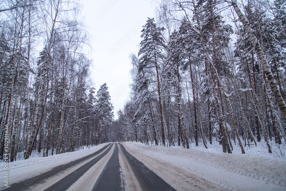 Asphalt road in the forest covered with snow Asphalt road in the forest covered with snow