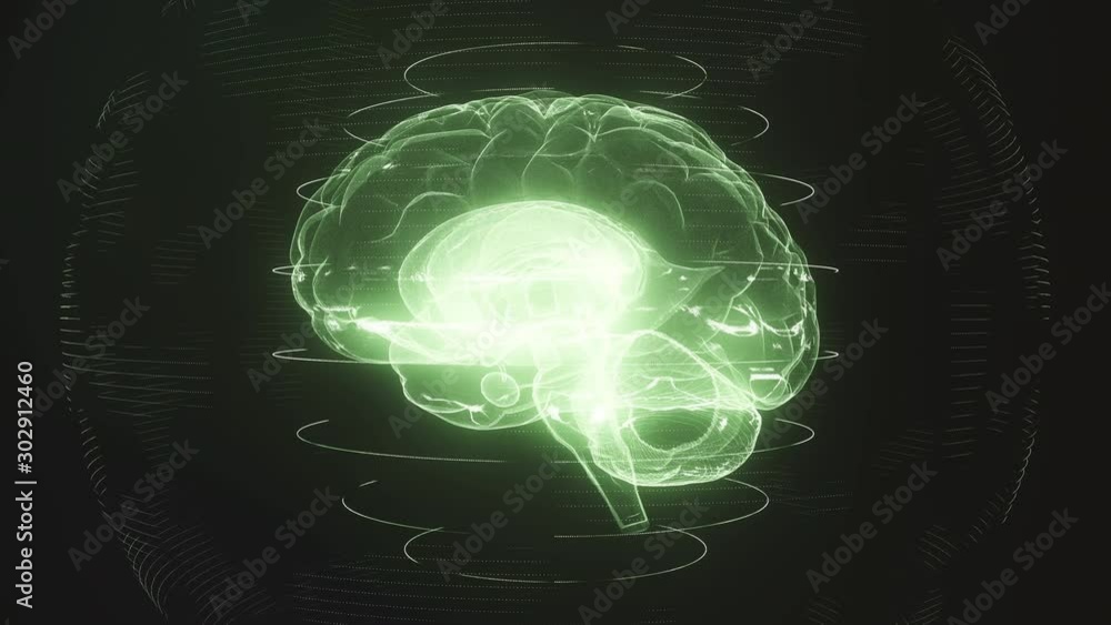 Futuristic green digital brain seamless loop. Neurons firing in MRI ...
