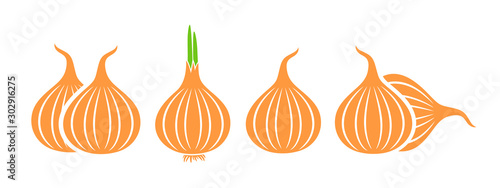 Onion logo. Isolated onion on white background