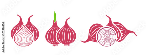 Fényképezés Onion logo. Isolated onion on white background