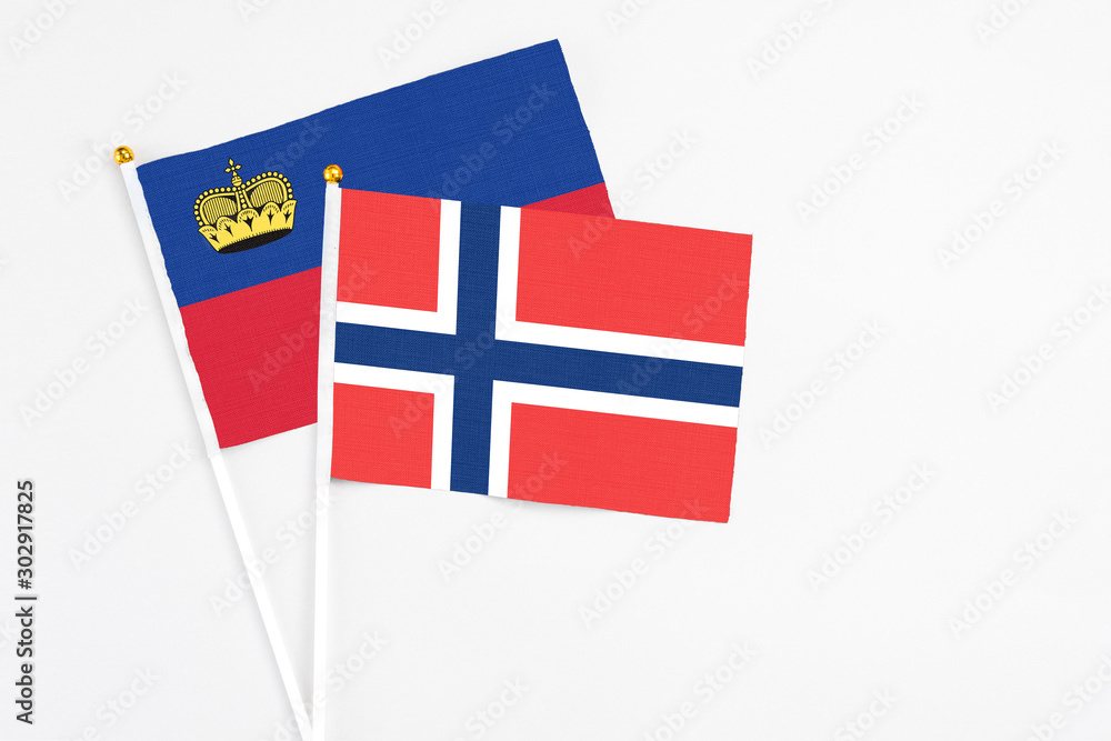 Norway and Liechtenstein stick flags on white background. High quality fabric, miniature national flag. Peaceful global concept.White floor for copy space.