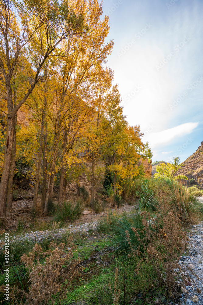 Photo of the Alcolea River as it passes through Lucainena Photo of the Alcolea River as it passes through Lucainena