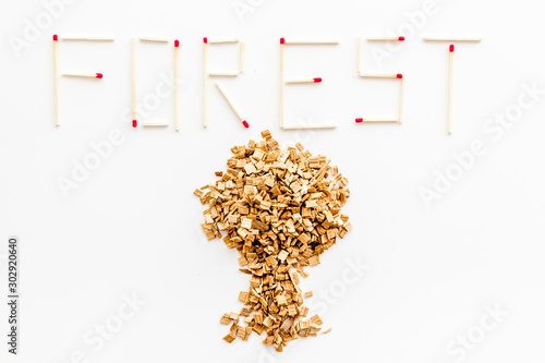 Symbol of fire in woods with tree from kindling and word forest from matches on white background top view