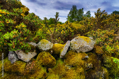 Beautiful scenic landscape of Scotland nature.